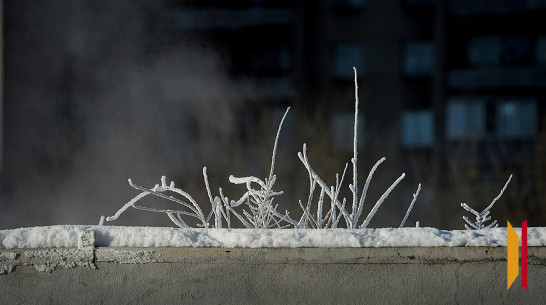 Декабрь в Воронежской области может стать аномально холодным