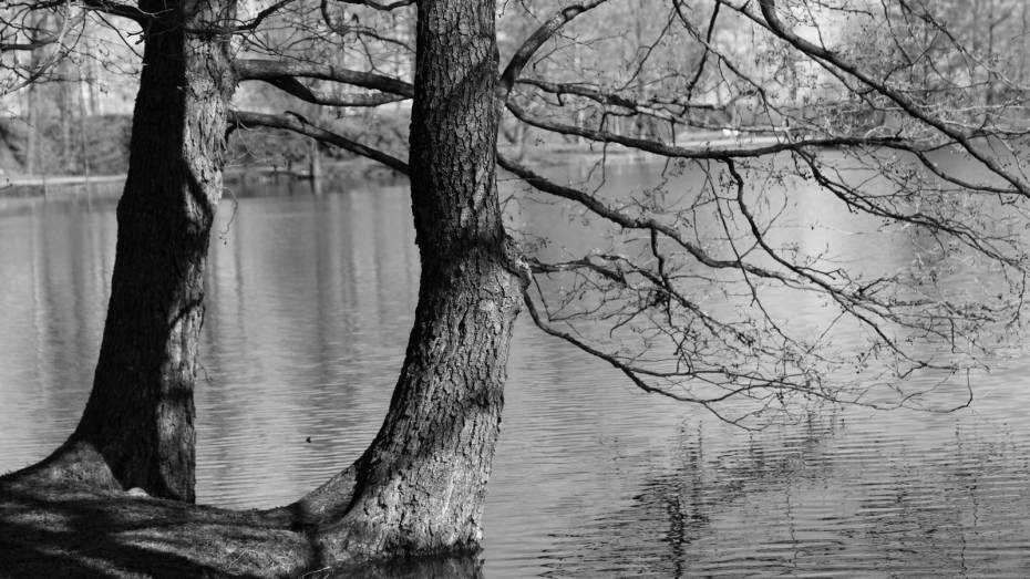 На турбазе под Воронежем пропал 20-летний парень