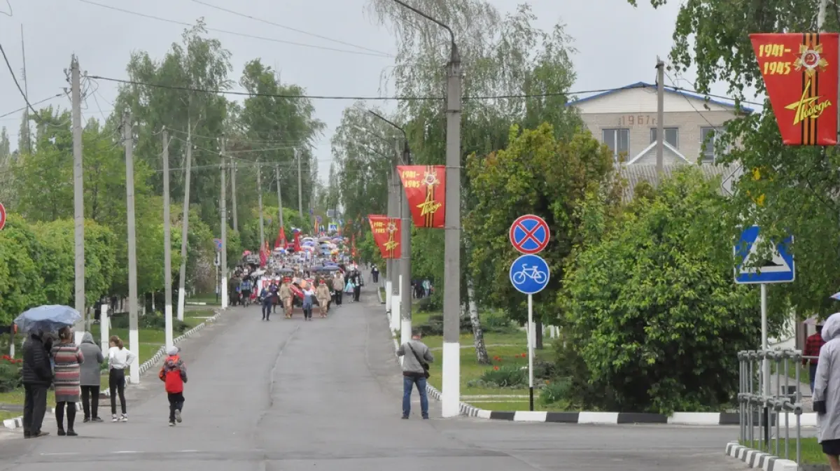 Двух жителей Воронежской области осудили за кражу флагов-баннеров «День  Победы» в Репьевке