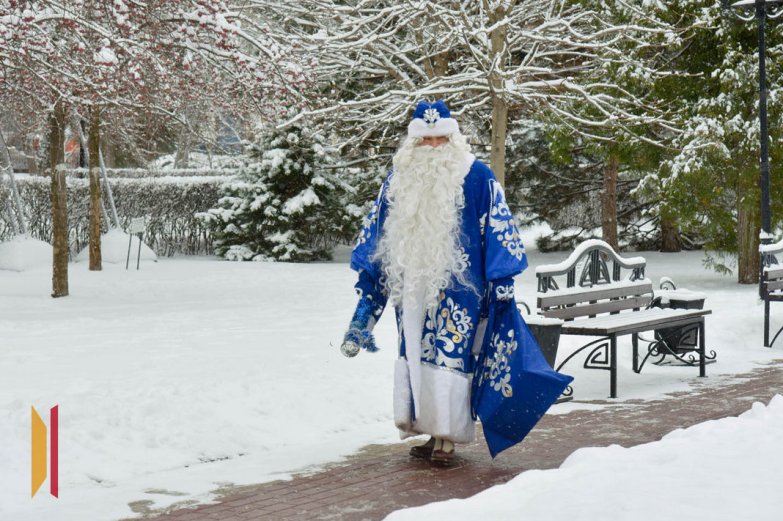 Парад Дедов Морозов и Снегурочек в Воронеже в 2025 году