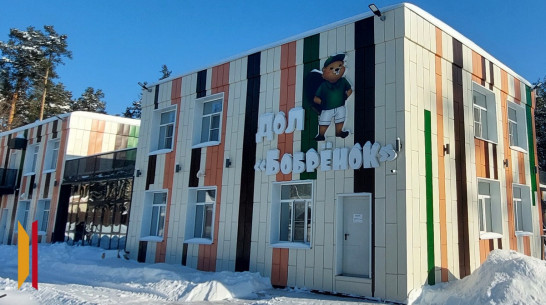 Путевки в оздоровительный лагерь «Бобренок» Рамонского района забронировали за 3 часа