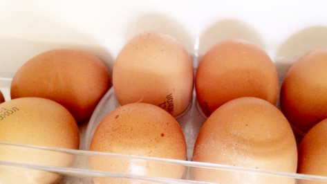 Воронежская область вошла в ТОП-20 регионов по производству яиц 