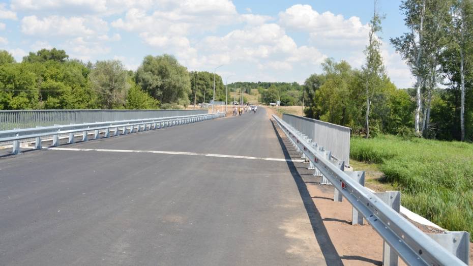 Между Богучарским и Вернемамонским районами открылась новая автодорога