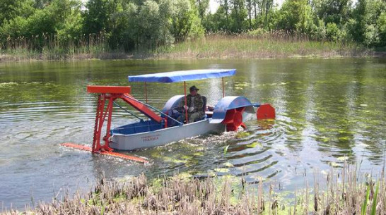 В Острогожске опробовали камышекосилку