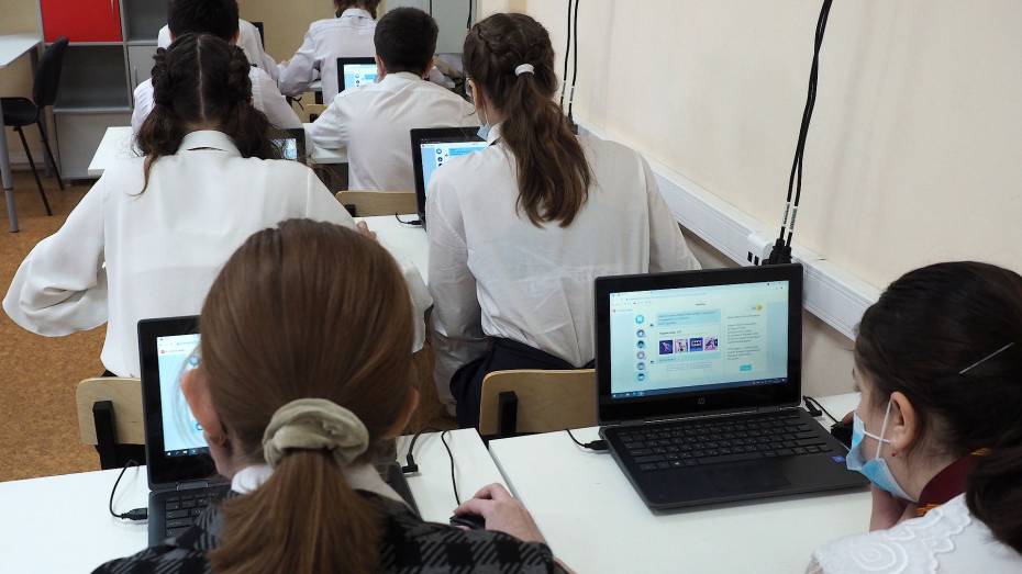 Воронежские школьники смогут принять участие в олимпиаде «Путь в IT»