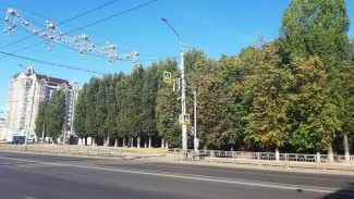 Новый светофор установили в Воронеже рядом с памятником самолету