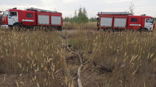 Максимальный уровень пожарной опасности отмечен в 4 районах Воронежской области