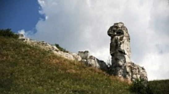 Заповедники и усадьбы покажутся воронежцам в торговом центре