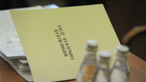 Депутаты Воронежской гордумы утвердили корректировку бюджета