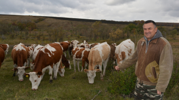 Нижнедевицкий животновод получил на развитие хозяйства более 15 млн рублей