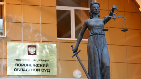 Заявки от кандидатов на пост зампредседателя Воронежского облсуда примут до 18 февраля