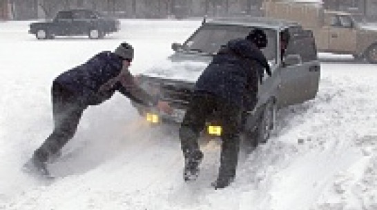 Завтра в Воронежской области ожидается мокрый снег и метель
