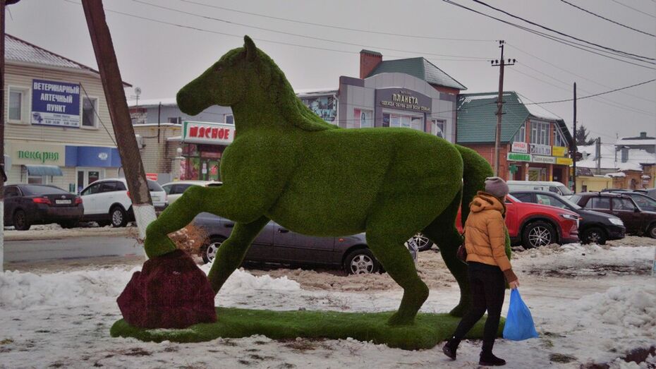 В центре Борисоглебска установили топиарную фигуру коня
