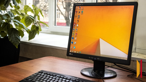 Воронежский суд запретил сайт с информацией о способах ловли краснокнижной рыбы