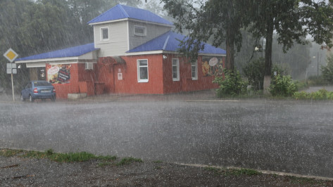 Ураган в Бобровском районе повалил деревья и оставил без света жителей