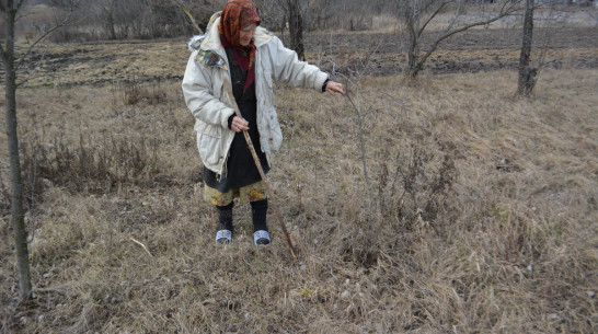 «Посажу здесь цветы». Как семья в воронежском селе похоронила на огороде 4 солдат