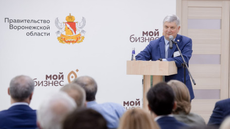 Воронежские предприниматели получили за три года 250 млн рублей в виде грантов и субсидий