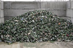 Эксперты обозначили сложности в проведении мусорной реформы в Воронежской области