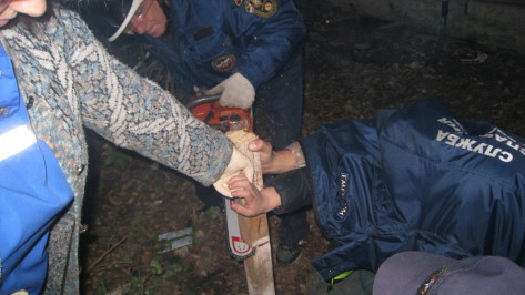 В Воронеже спасатели помогли достать гвоздь из руки дошкольника