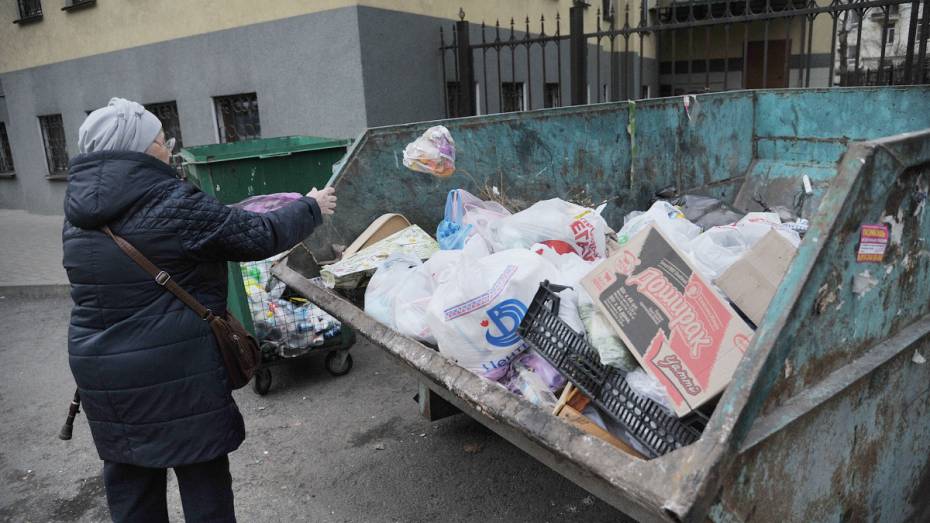Мэрия попросила воронежцев сообщать о переполненных мусорных контейнерах