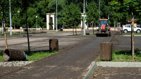 Ремонт подъездных путей в воронежском Центральном парке потребует до 1,65 млн рублей