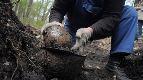 Воронежские поисковики поднимут останки солдат на месте уничтоженного в войну хутора
