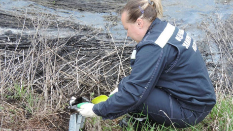 В Воронежской области с предприятия взыскали более 4 млн рублей за вред почвам