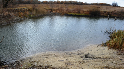 Обмелевшие пруды  Нижнедевицкого  района исключат из перечня гидротехнических сооружений 