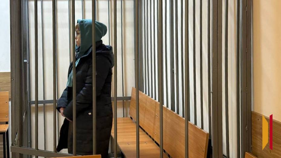 Нагадались до казенного дома: суд определил меру пресечения матери и дочери, обманувшим воронежскую владелицу IT-компании