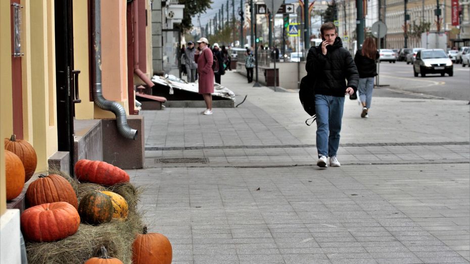 Проспект Революции в Воронеже занял 3 место в списке самых дорогих торговых улиц России