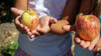 Как отучить детей от вредных пищевых привычек. 5 советов от воронежских экспертов