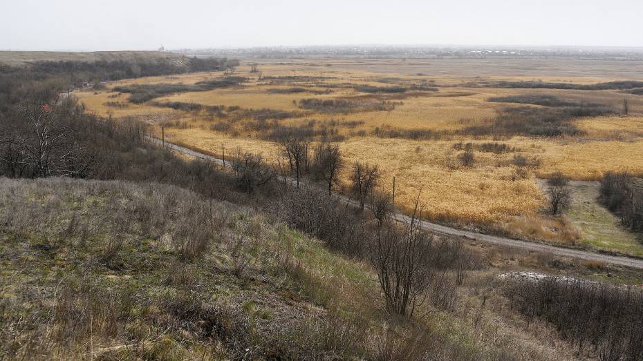 Губернатор утвердил создание 3 памятников природы в Каширском районе Воронежской области