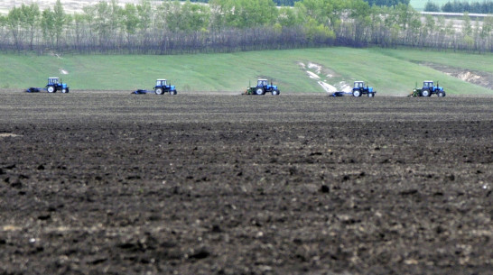 Воронежские аграрии получат более 2 млрд рублей на возмещение ставок по инвесткредитам