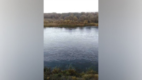 Администрация Рамонского района опровергла информацию о разливе нефтепродуктов в реке Дон под Воронежем