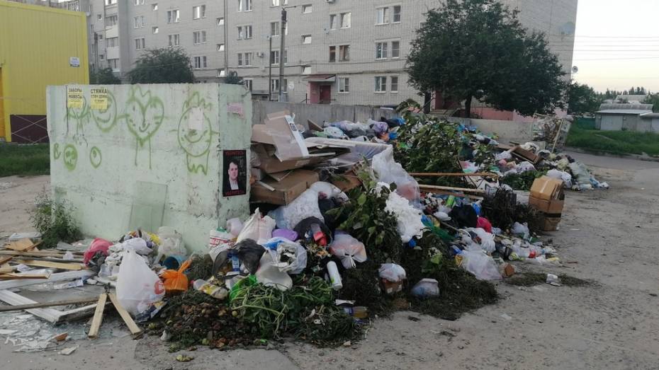 Райцентр под Воронежем погряз в мусоре из-за повышения цен на полигоне