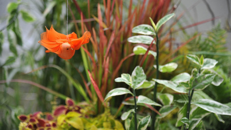 Воронежцам предложили поучаствовать в конкурсе «Город в цветах»