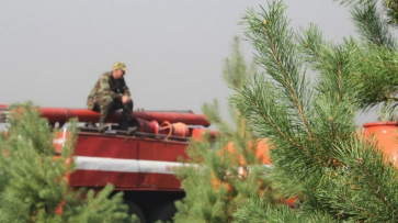 Высокий класс пожароопасности установился в 13 районах Воронежской области