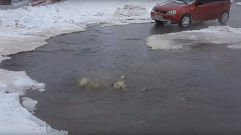 В Воронеже попал на видео прорыв канализации на улице Шишкова