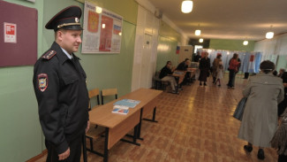 Кинологи проверят все избирательные участки Воронежа за день до выборов