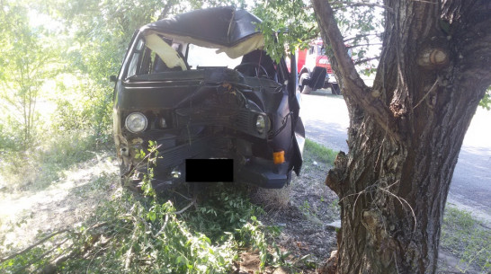 В Верхнемамонском районе Volkswagen врезался в дерево: пострадал 59-летний водитель