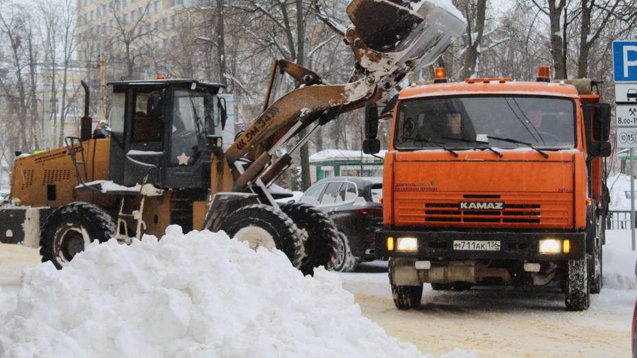В центре Воронежа для уборки снега перекроют улицу Мира в ночь на 19 декабря