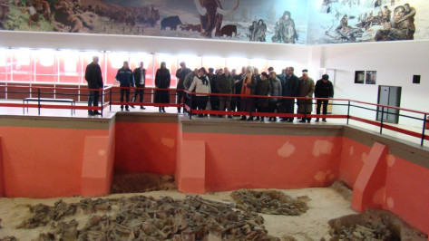 В международной акции «Ночь музеев» в Костенках приняли участие около 1,5 тыс человек