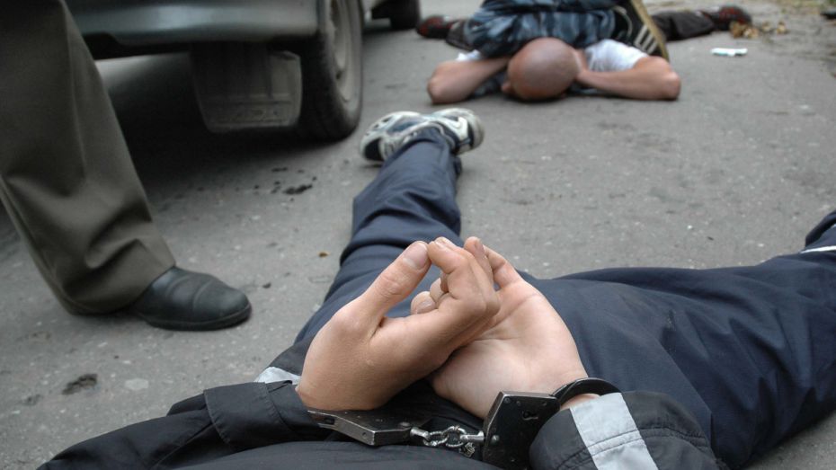 Главный полицейский Воронежской области: преступность, связанная с наркотиками, выросла
