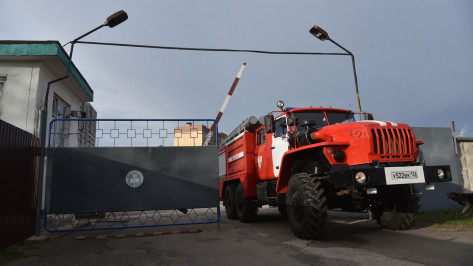 Воронежские пожарные за 2023 год спасли 178 человек