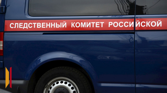 Глава СК запросил доклад о провалившемся в колодец мальчике в Воронежской области