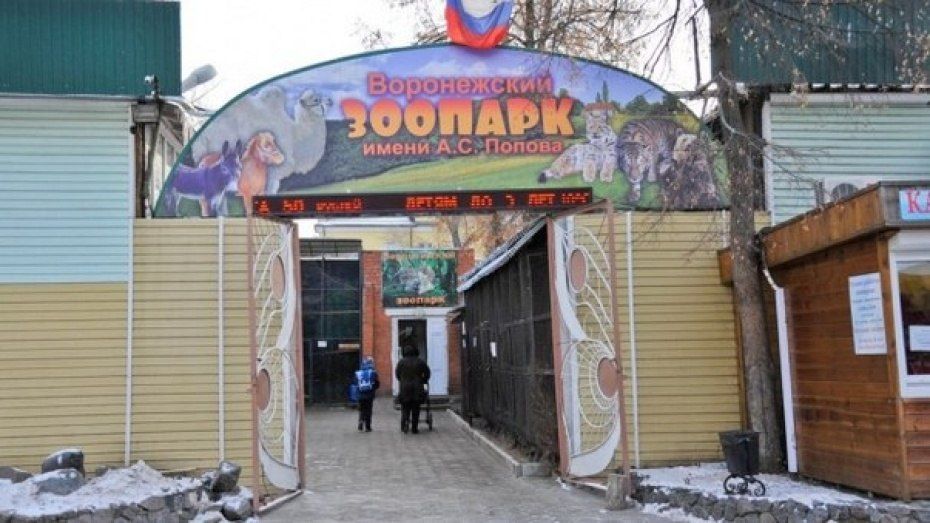 В воронежском зоопарке подростки сыграют в антирасистский квест