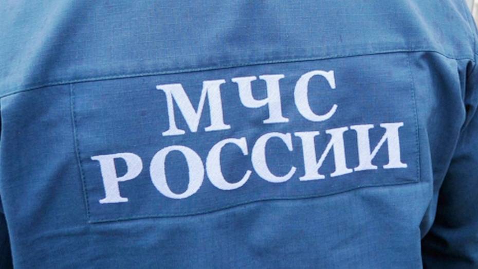 В Воронеже из общежития ВГУ эвакуировали 261 человека из-за задымления