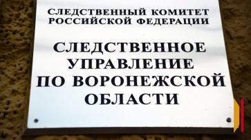 Губернатор Воронежской области Александр Гусев поздравил следователей с профессиональным праздником