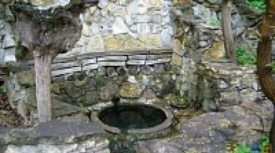 Купели в воронежском парке «Динамо» строители заменили чашами для умывания 