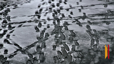 На Воронежском водохранилище скоро появится лед